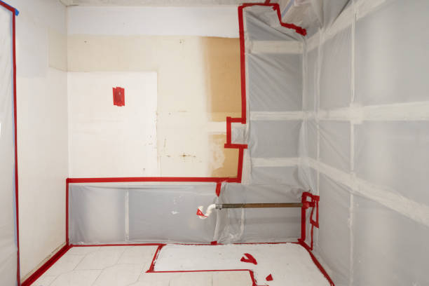 Best Attic Mold Removal  in Provo, UT