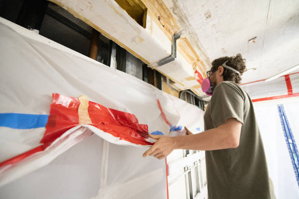 Best Mold Damage Restoration  in Provo, UT