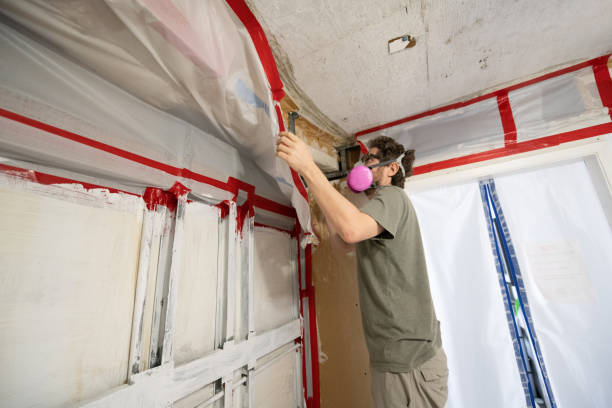 Best Mold Documentation for Insurance Claims  in Provo, UT