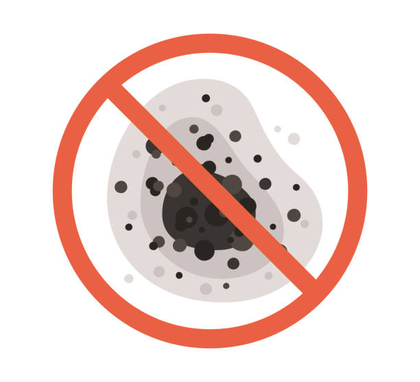 Trusted Provo, UT Mold Removal Experts