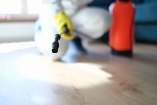 Best Commercial Mold Inspection  in Provo, UT