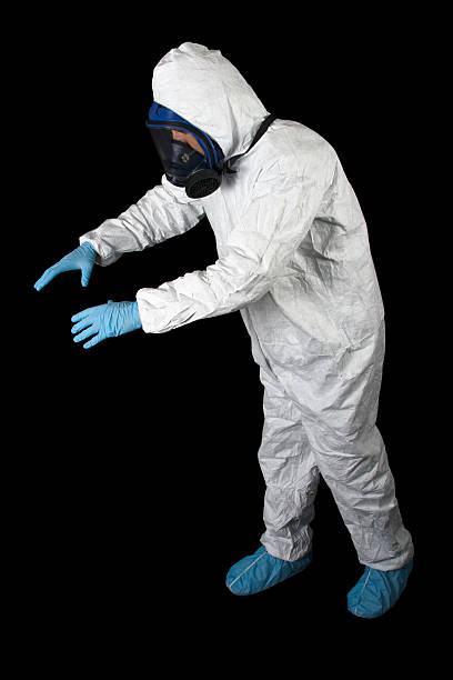Best Crawl Space Mold Remediation  in Provo, UT