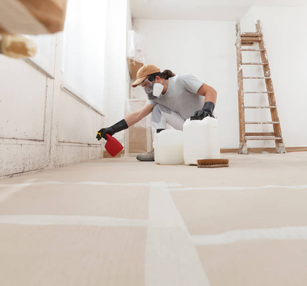 Best Forensic Mold Investigation  in Provo, UT